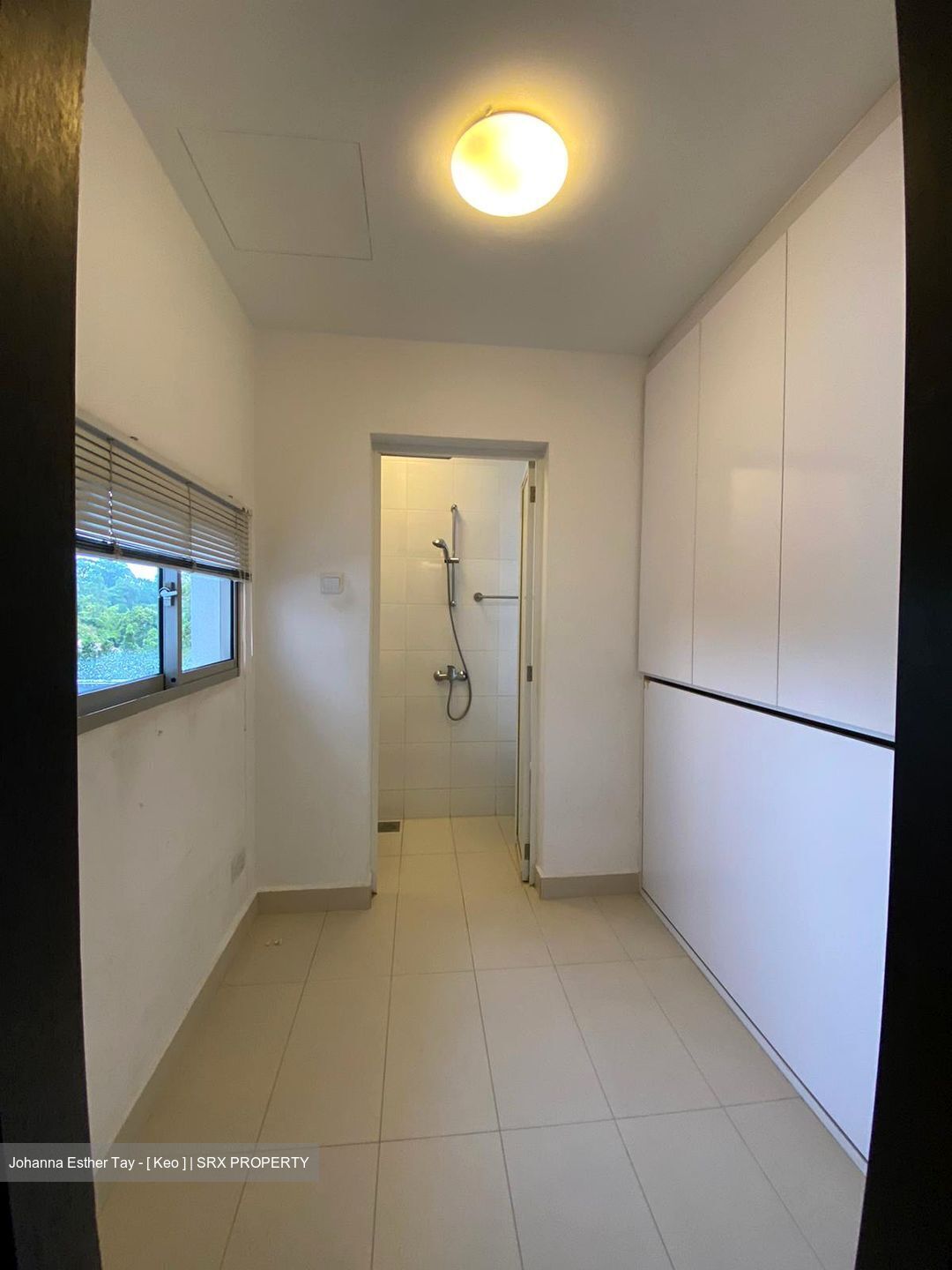 Nassim Regency (D10), Condominium #575629631